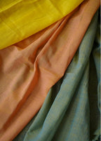 Elegant Cotton Saree – Trycolor Signature Collection.