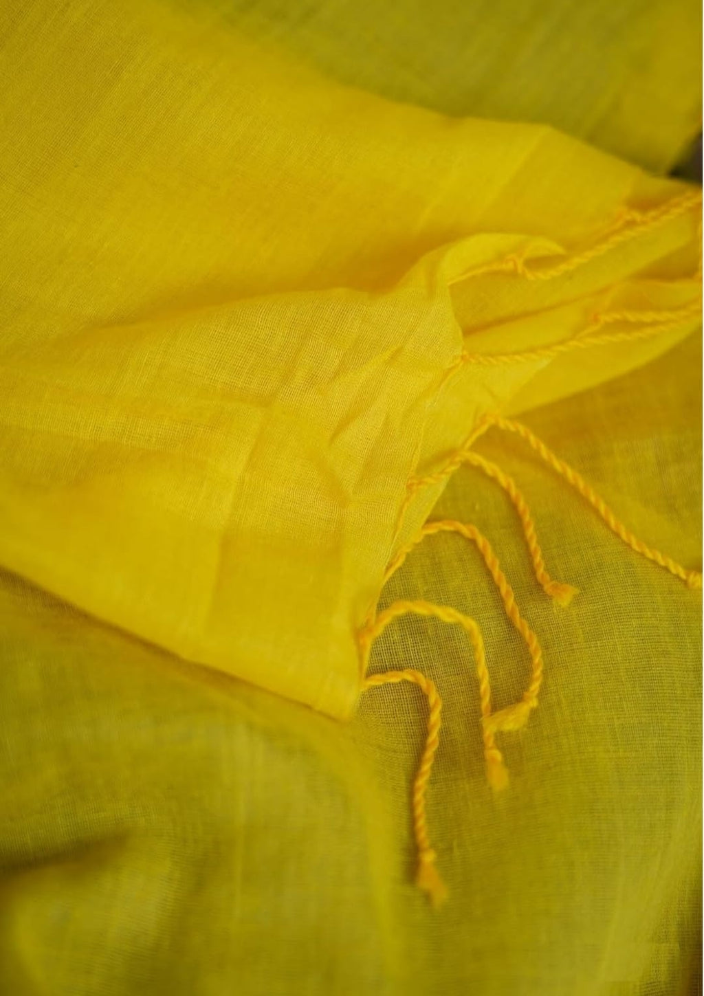 Elegant Cotton Saree – Trycolor Signature Collection.