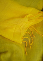 Elegant Cotton Saree – Trycolor Signature Collection.